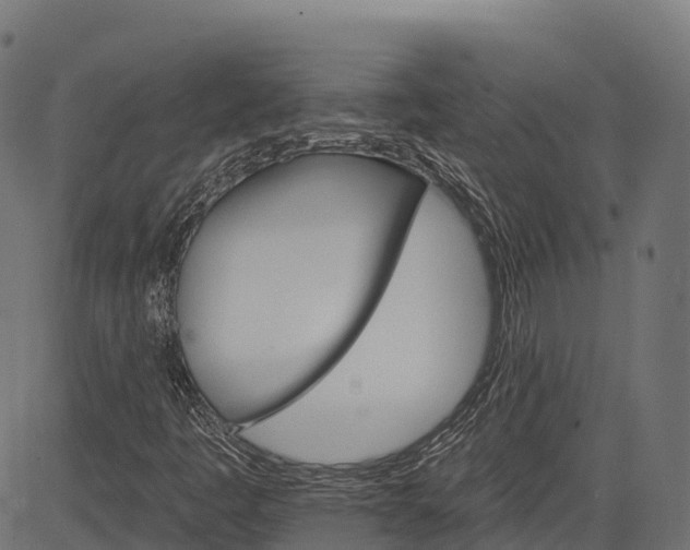 X0000084521445200703091550