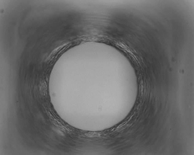 X0000084521446200703091550