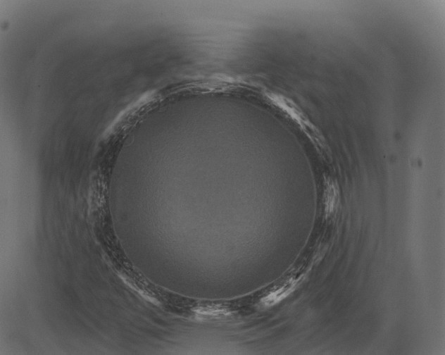 X0000084521447200703091550