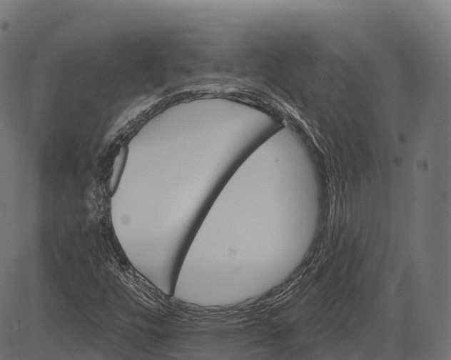 X0000084521448200703091550