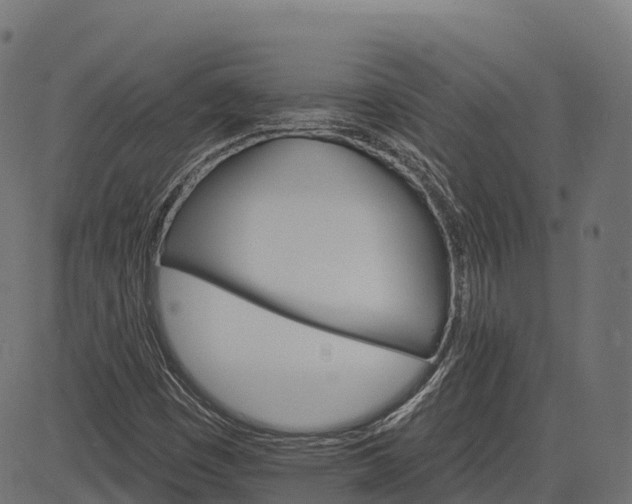 X0000084521449200703091550