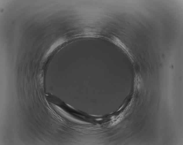 X0000084521450200703091550