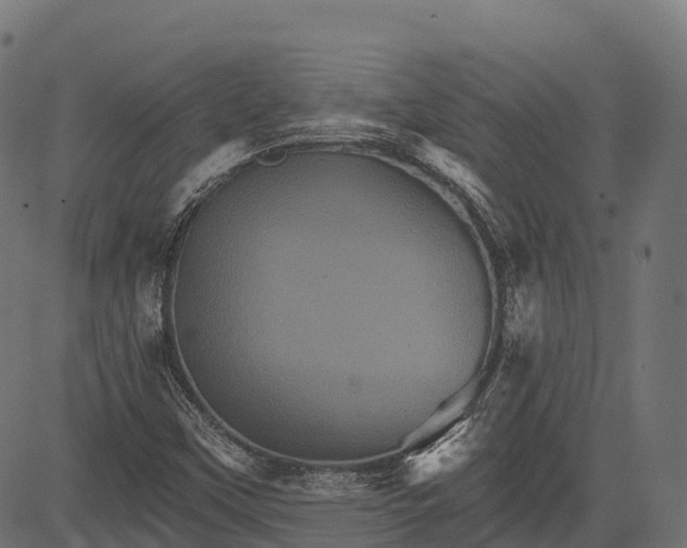 X0000084521451200703091550