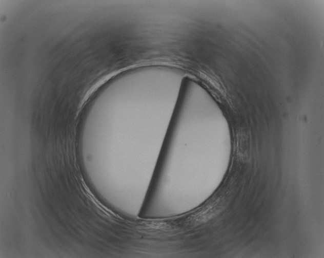 X0000084521452200703091549