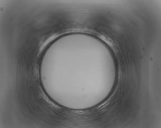 X0000084521454200703091549