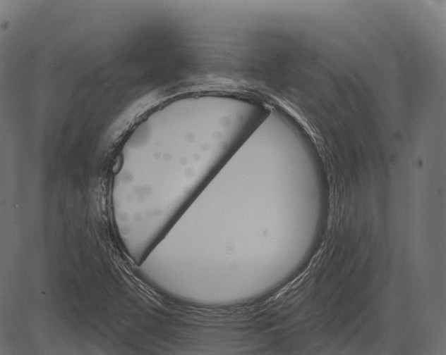 X0000084521455200703091549