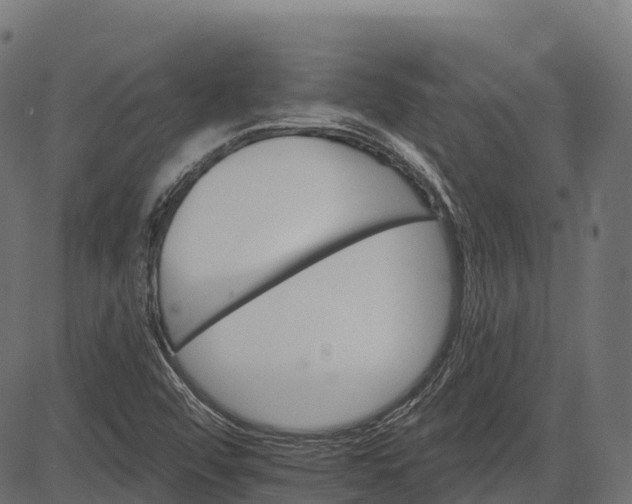 X0000084521456200703091549