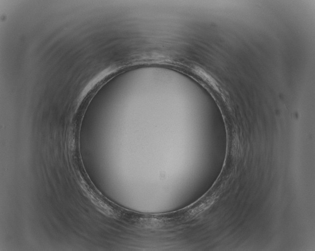 X0000084521458200703091549