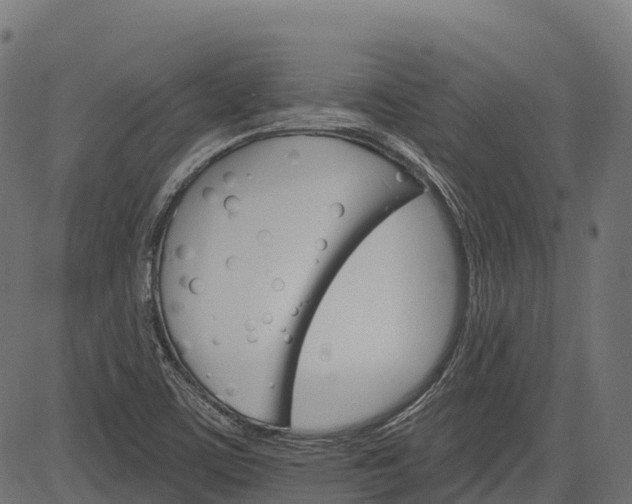 X0000084521459200703091549