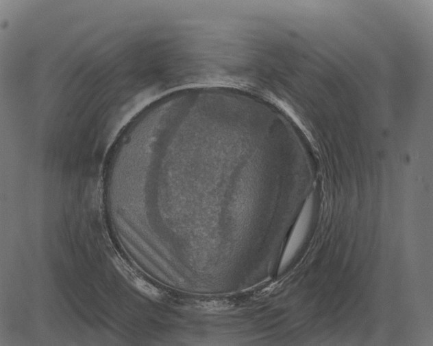 X0000084521460200703091549