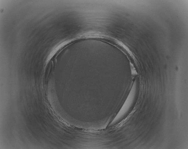 X0000084521461200703091549