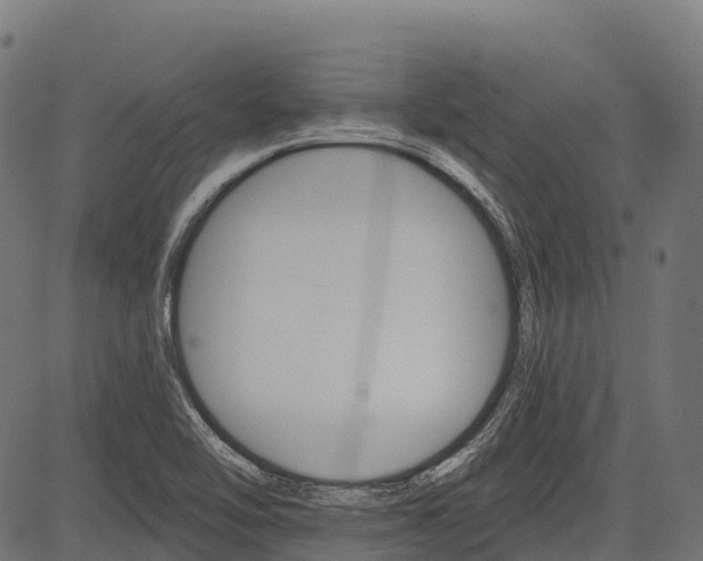 X0000084521462200703091549