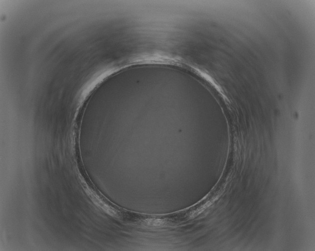 X0000084521463200703091549