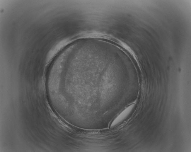 X0000084521464200703091549