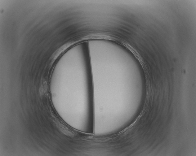 X0000084521465200703091549