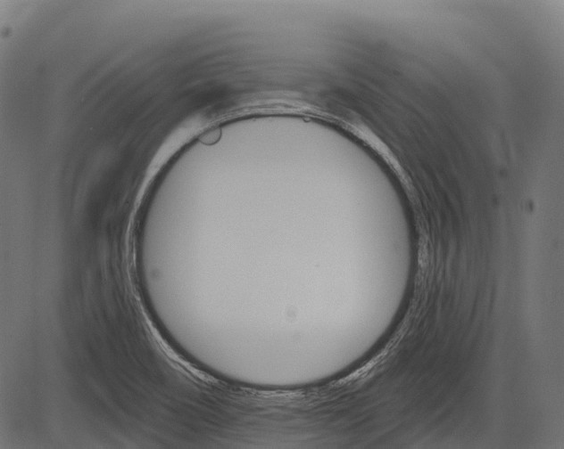 X0000084521466200703091549