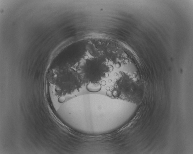 X0000084521467200703091549