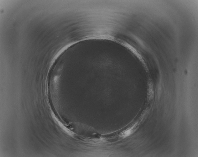 X0000084521468200703091549