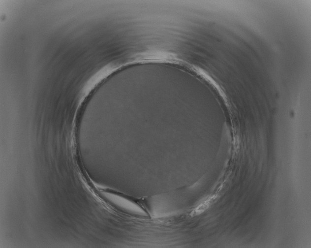 X0000084521469200703091549