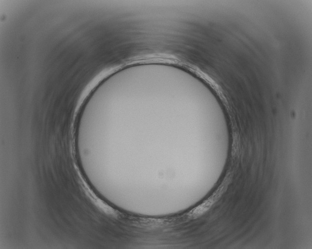 X0000084521470200703091549