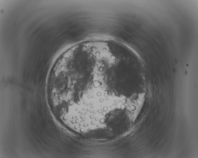 X0000084521471200703091549