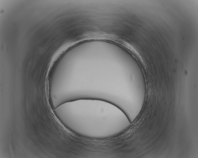 X0000084521472200703091549