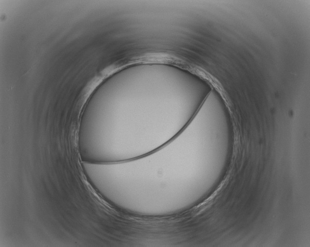 X0000084521473200703091549