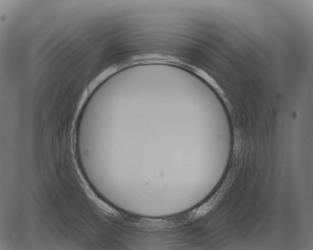 X0000084521474200703091549