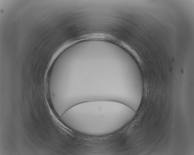 X0000084521475200703091549