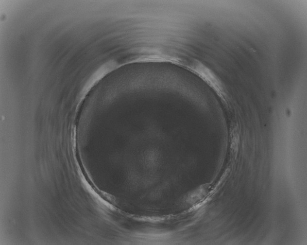 X0000084521476200703091549