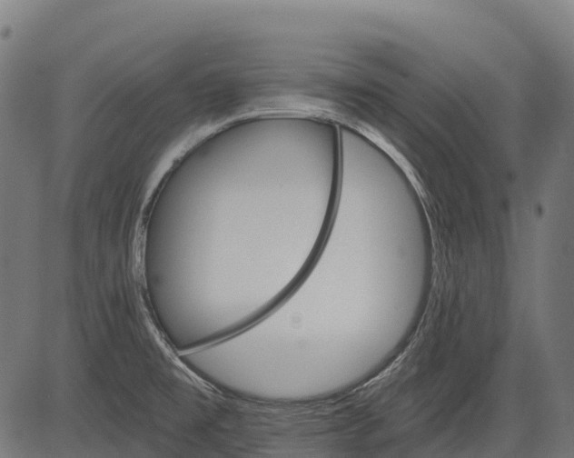 X0000084521477200703091549