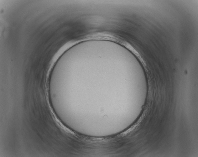 X0000084521478200703091549