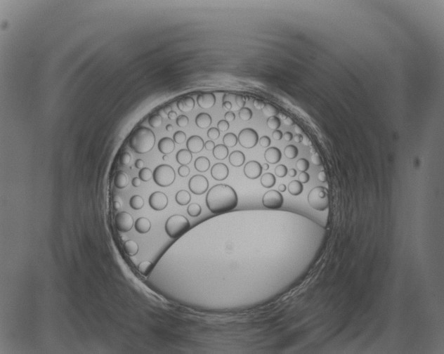 X0000084521479200703091549