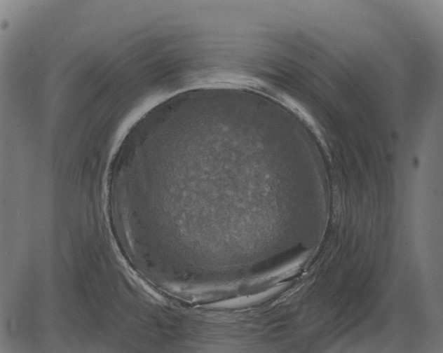 X0000084521480200703091549