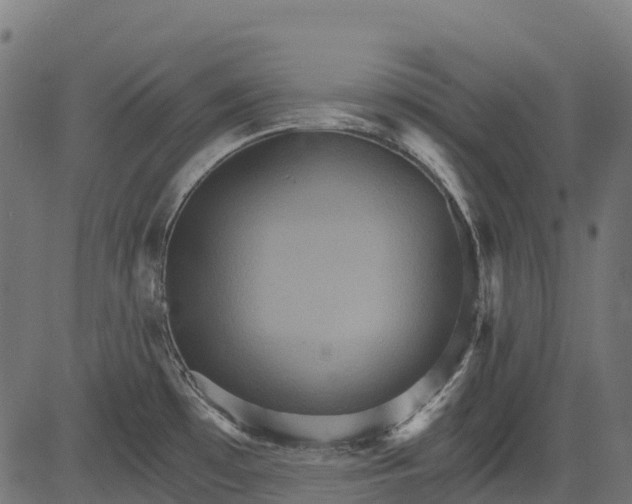 X0000084521481200703091549