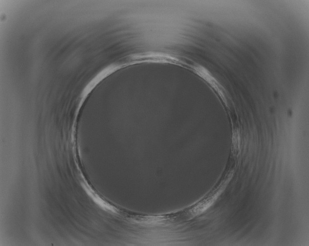 X0000084521482200703091549