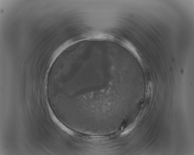 X0000084521483200703091549