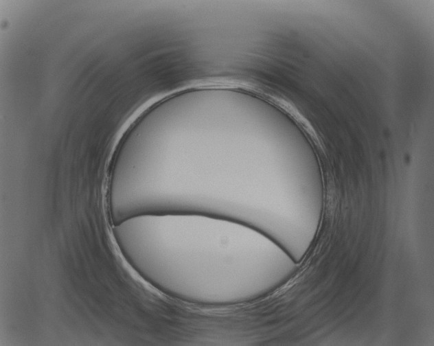 X0000084521484200703091549