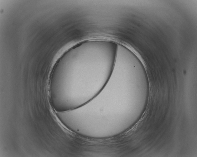 X0000084521485200703091549