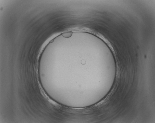 X0000084521486200703091549