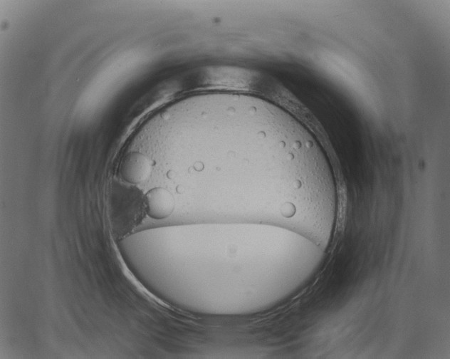 X0000084521487200703091549