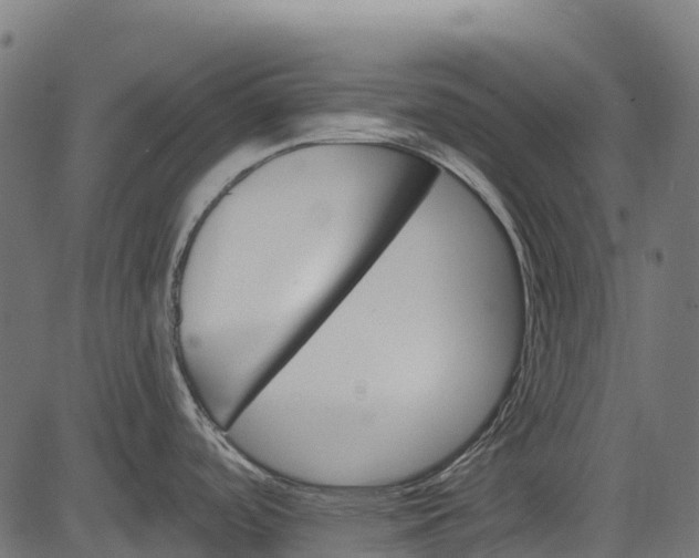 X0000084521488200703091549