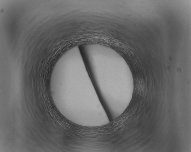 X0000084521489200703091548