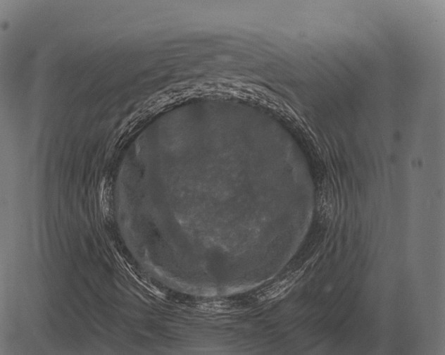 X0000084521490200703091548