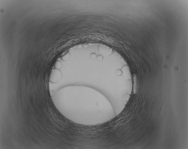 X0000084521491200703091548