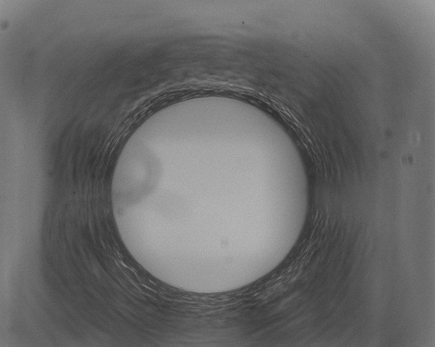 X0000084521492200703091548