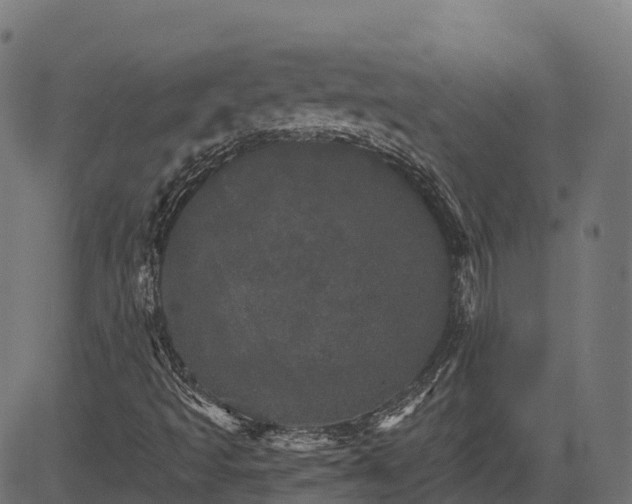 X0000084521493200703091548