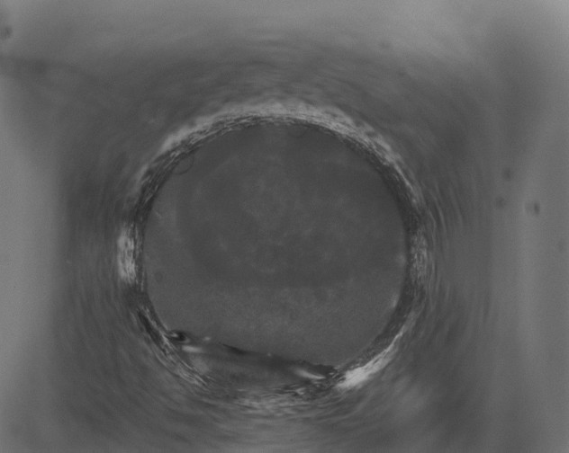 X0000084521494200703091548