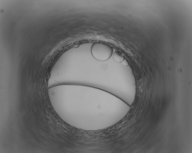 X0000084521495200703091548