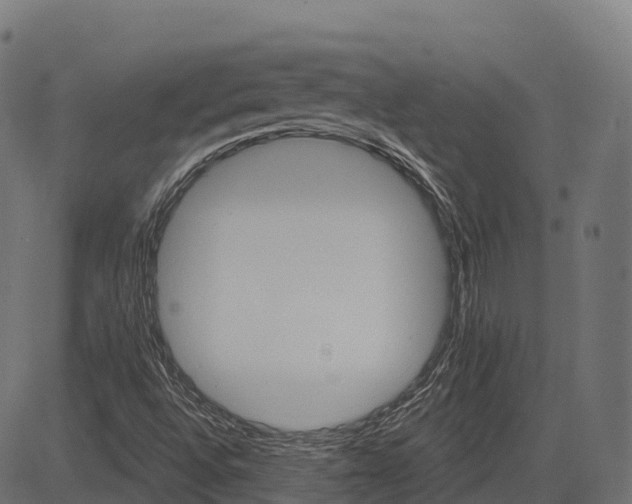 X0000084521496200703091548